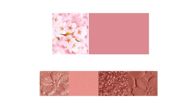NOVO Eyeshadow Palette - Image 3