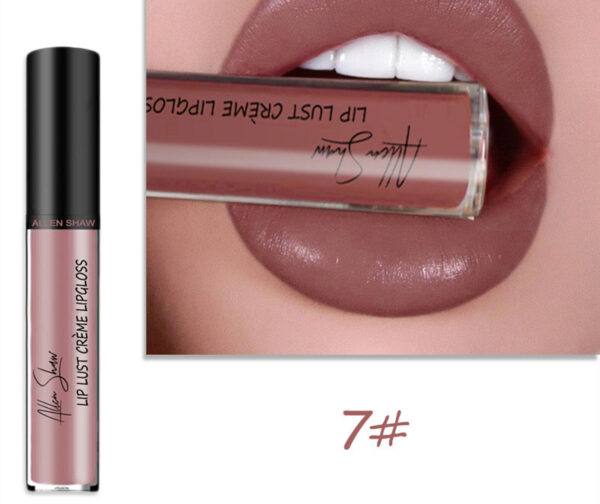 Silky Cream Texture Lip Gloss Aliexpress Shopee Cross-Border Exclusive Lip Glaze Lip Gloss Lipstick - Image 9