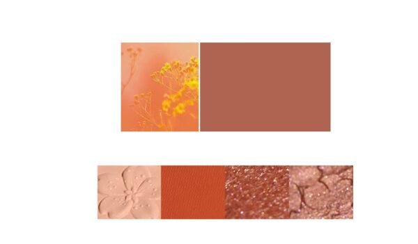 NOVO Eyeshadow Palette - Image 2