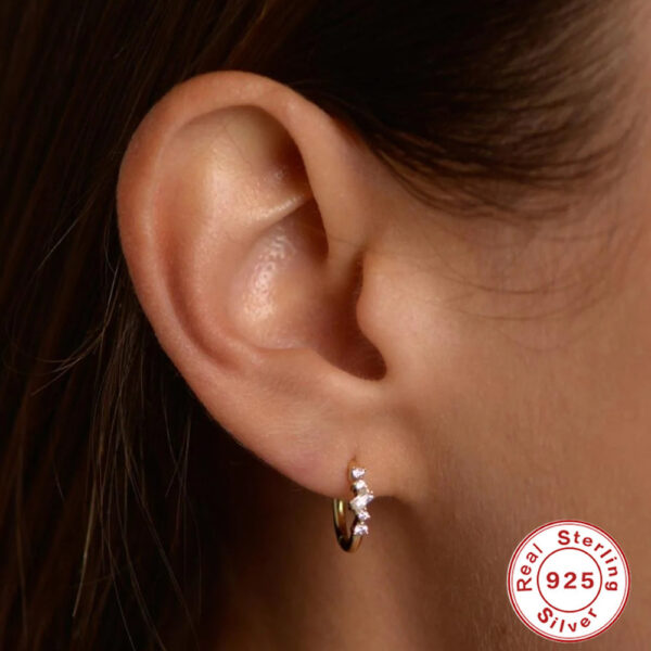 Sterling Silver Cluster Diamond Geometric All-match Earrings - Image 10